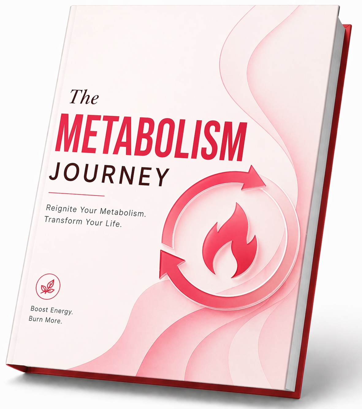 Bonus: The Metabolism Journey